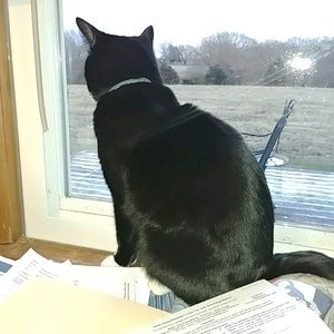 Meet your Posher, Becky